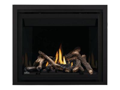 Napoleon Altitude 42 Direct Vent Gas Fireplace - A42NTE