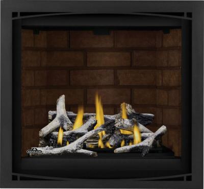 Napoleon Altitude X 36 Direct Vent Gas Fireplace - AX36NTE-1