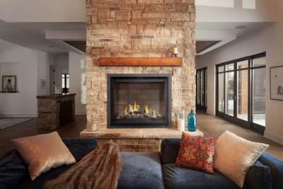 Napoleon Altitude X 42 Direct Vent Gas Fireplace - AX42NTE-1
