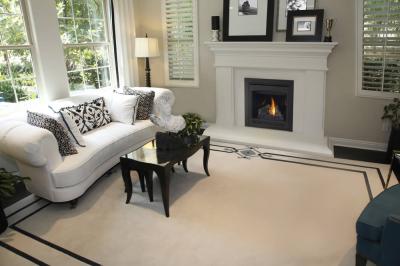Napoleon Ascent 30 Direct Vent Gas Fireplace - B30NTRE-1