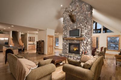 Napoleon Ascent Multi-View See Through Log Set Direct Vent Gas Fireplace - BHD4STN