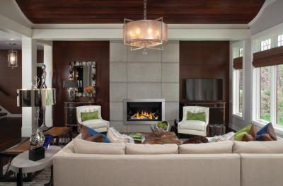 Napoleon Ascent Linear 36 Direct Vent Fireplace - BL36NTE-2