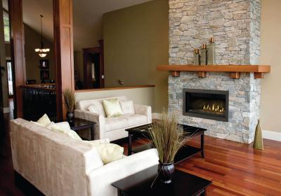Napoleon Ascent Linear 42 Direct Vent Gas Fireplace - BL42NTE