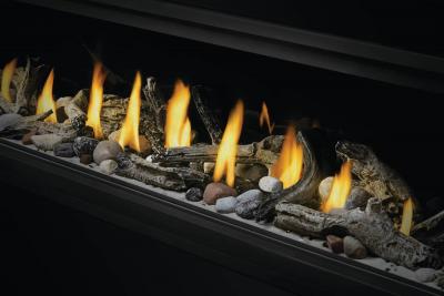 Napoleon Ascent Linear 46 Direct Vent Fireplace - BL46NTE-1