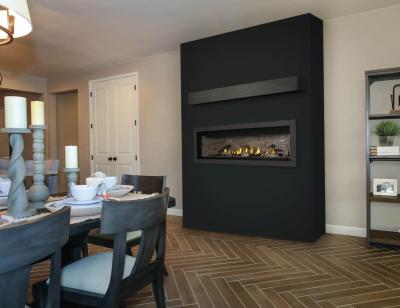 Napoleon Ascent Linear 56 Direct Vent Gas Fireplace - BL56NTE