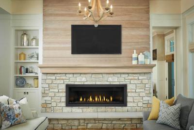 Napoleon Ascent Linear 56 Direct Vent Gas Fireplace - BL56NTE