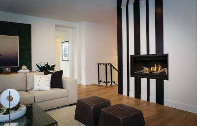 Napoleon Ascent Linear Premium 42 Direct Vent Gas Fireplace - BLP42NTE