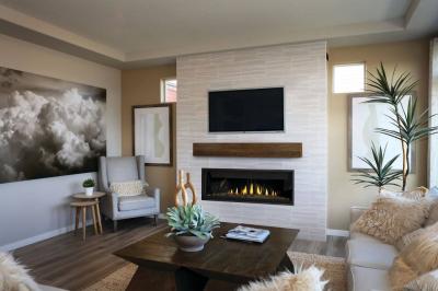 Napoleon Ascent Linear Premium 56 Direct Vent Gas Fireplace - BLP56NTE