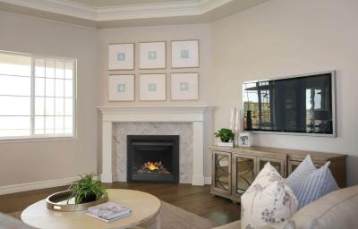 Napoleon Ascent BX 36 Direct Vent Gas Fireplace - BX36NTRE