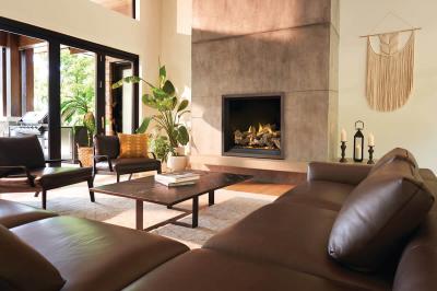 Napoleon Elevation X 42 Direct Vent Gas Fireplace - EX42NTEL
