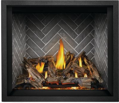 Napoleon Elevation X 42 Direct Vent Gas Fireplace - EX42NTEL