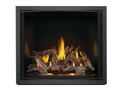 Napoleon Elevation X 42 Direct Vent Gas Fireplace - EX42NTEL