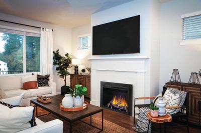 Napoleon Element 42 Built-in Electric Fireplace - NEFB42H-BS-1