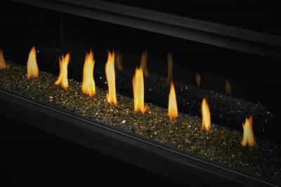 Napoleon Vector 38 See Through Direct Vent Gas Fireplace - LV38N2-1