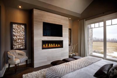 Napoleon  Vector 50 Direct Vent Gas Fireplace - LV50N-2