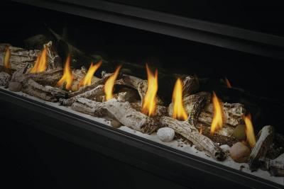 Napoleon Vector 50 See Through Direct Vent Gas Fireplace - LV50N2-2
