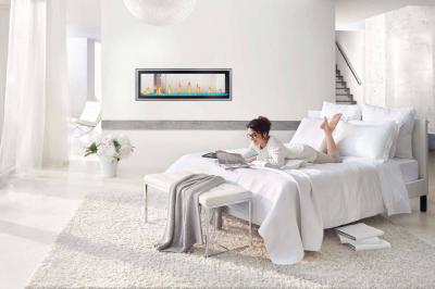Napoleon Vector 50 See Through Direct Vent Gas Fireplace - LV50N2-2