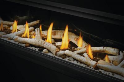 Napoleon Vector 74 Direct Vent Gas Fireplace - LV74N