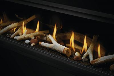 Napoleon Luxuria 50 See Through Direct Vent Gas Fireplace - LVX50N2X-1