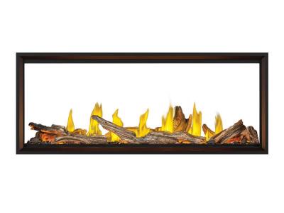 Napoleon Tall Linear Vector 62 See Through Direct Vent Gas Fireplace - TLV62N2