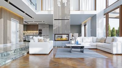 Napoleon Tall Linear Vector 50 See Through Direct Vent Gas Fireplace - TLV50N2